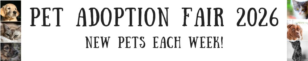 Banner for the 2025 Pet Adoption Fair