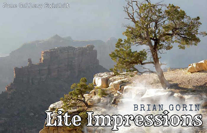 June Gallery Exhibit - Brian Gorin Little Impressions